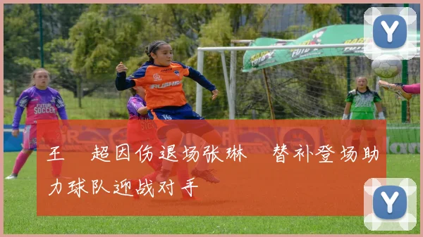 王燊超因伤退场张琳芃替补登场助力球队迎战对手